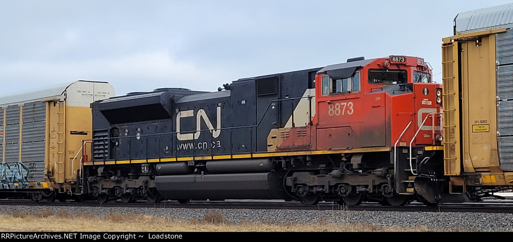 CN 8873